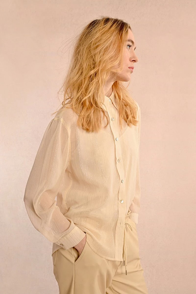 sheer button down blouse